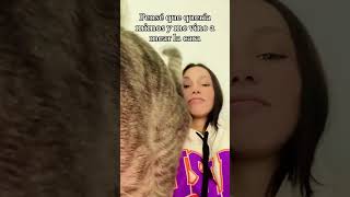 Cats Make Life Unpredictable 🐾#cat #kitty #catlover #catso