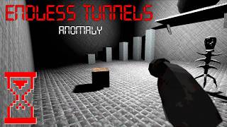 Аномалия бесконечных туннелей | Endless Tunnels Anomaly
