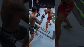 다시 봐도 대박! 유주상 #UFC326 2승 재도전 👊