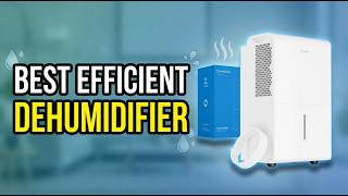 Best Efficient Dehumidifier 2026: Top 8 Models That Actually Work