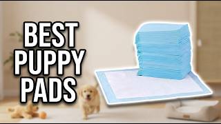 Best Puppy Pads for Dogs 2026: Top 5 Picks for Easy Training & Leak-Free Protection