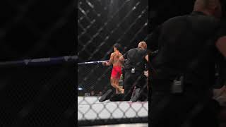 아시아는 좁았다! 코리안 타이거 RTU 씹어먹던 시절👊 #UFC326