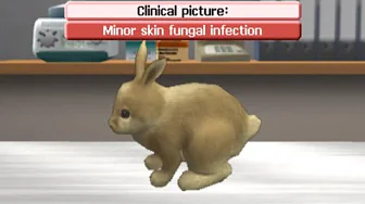 My Vet Practice 3D [Nintendo 3DS] Gameplay