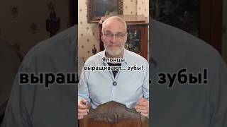Японцы выращивают... зубы! #кино #точносказано #история #красивосказано #новости #скрытые #факты