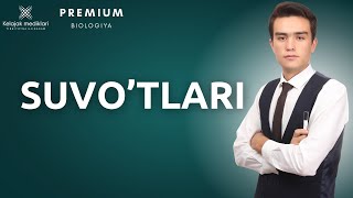 3.6-Bir va ko'p hujayrali suvo'tlari || 3.6-Бир ва кўп ҳужайрали сувўтлари