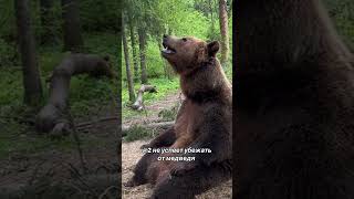 А ты бы успел?
