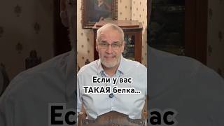 Если у вас ТАКАЯ белка... #история #точносказано #history #красивосказано #скрытые #шортс #хочуфакт
