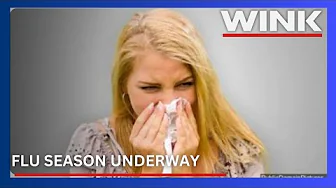 Florida flu cases rise; Lee Health offers guidance