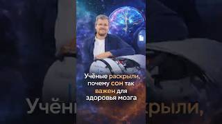 Во сне мозг включает режим самоочистки — новое открытие учёных