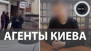 Украинские спецслужбы массово вербуют студентов РФ | Cиловики сорвали теракты Киева к 23 февраля