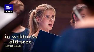 David Lang: in wildness // DR Pigekoret (LIVE)