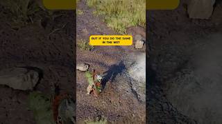 Mud In Crimson Desert Is WILD