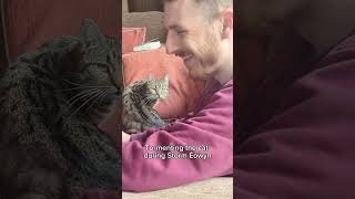 A cat with Hollywood talent.#cat #kitty #catlover #cats