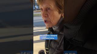 "С нищими бы поделились". Опрос россиян о росте числа миллиардеров #опрос #россия #экономика