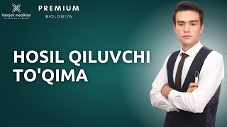 4.3a-Hosil qiluvchi (meristema) to'qima  || 4.3а-Ҳосил қилувчи (меристема) тўқима