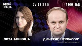 Дмитрий Некрасов* и Лиза Аникина. Слоняры / 04.06.26