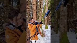 Perfect Outdoor Lighting Companion ❄️💡