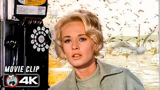 Chaos Erupts | THE BIRDS (1963) 4K