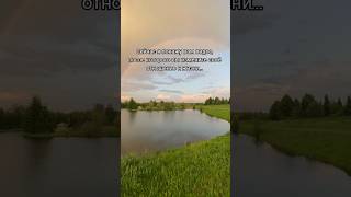 Сейчас я покажу вам видео, после которого вы измените своё отношение к жизни... #жизнь #мудрость #да