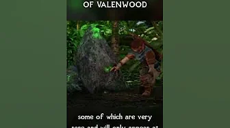 This HUGE Skyrim Mod Takes You to Valenwood!