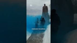 Узнали пол ребенка – получили уголовку #россия #новости #жуков