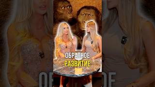 Обратное развитие 🧠