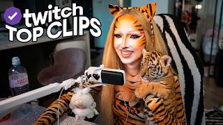 Топ клипы с Twitch | СТАЛА ТИГРОМ, СТРИМХАТА ХАЗЯЕВ, СТРИМЕРЫ про КОНФЛИКТ САСАВОТА и КАШИ