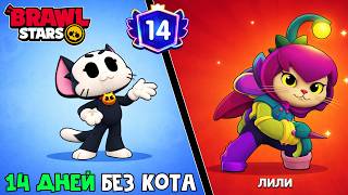 МАГИЧЕСКАЯ ЛИЛИ (Lily) в игре Бравл Старс | Brawl Stars Supercell | 14 ДНЕЙ без кота.