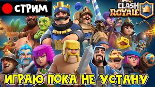 Играю в КЛЕШ РОЯЛЬ, пока не устану | RED CAT | Стрим по Clash Royale