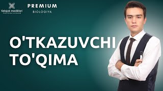 4.3 c- O'simliklar o'tkazuvchi to'qimasi || 4.3 c- Ўсимликлар ўтказувчи тўқимаси