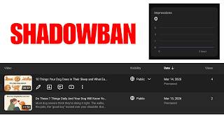 4 Signs YouTube's New Algorithm Has Shadowbanned Your Channel