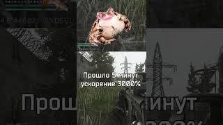 Состояние Таркова спустя пол года после релиза